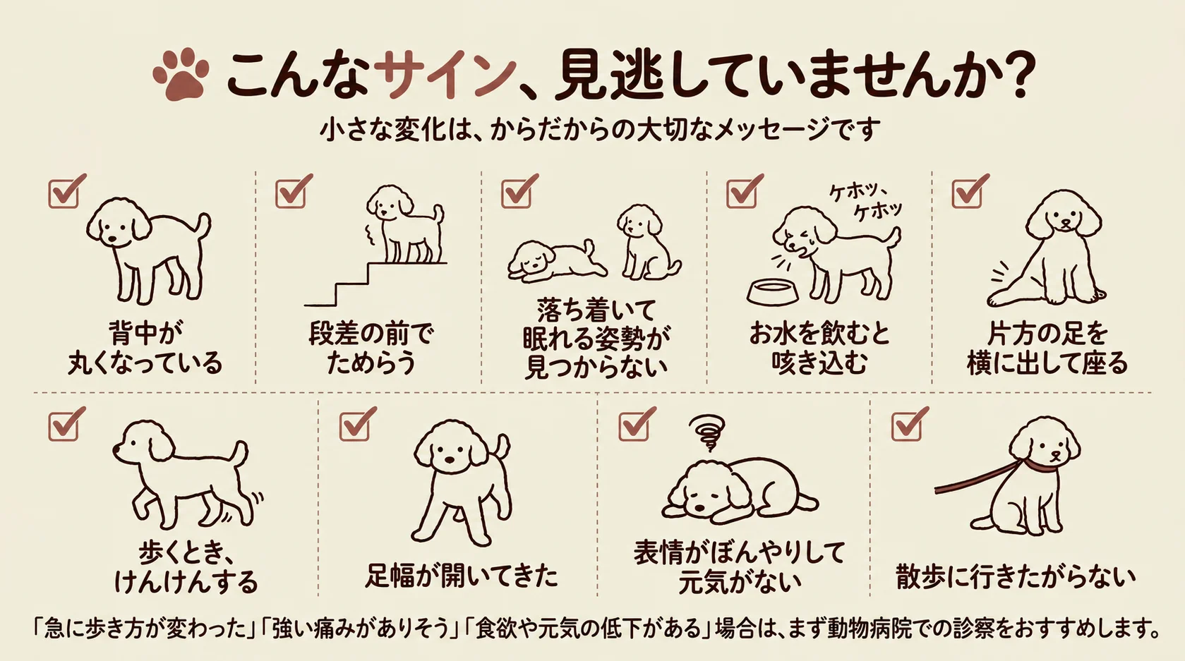 わんボディケアの施術風景